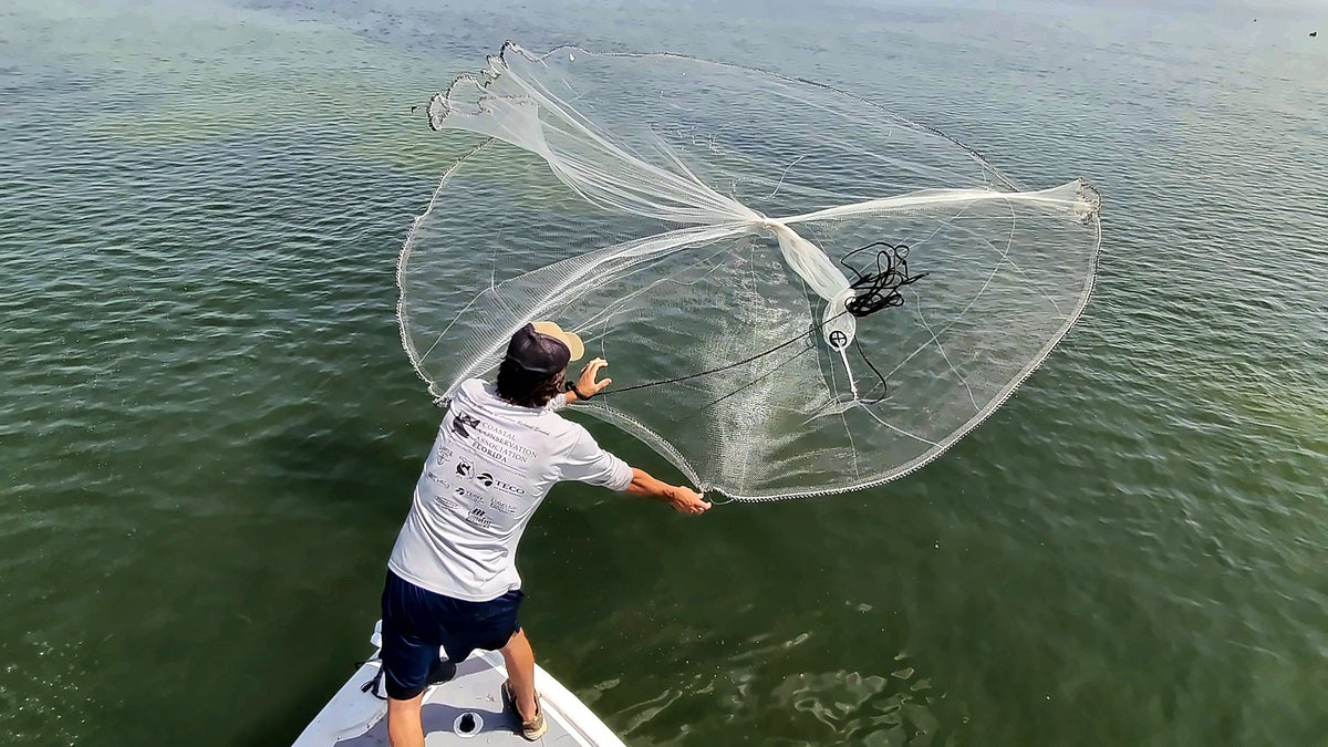 Overhead view of a Dropout cast net opening into a full circle