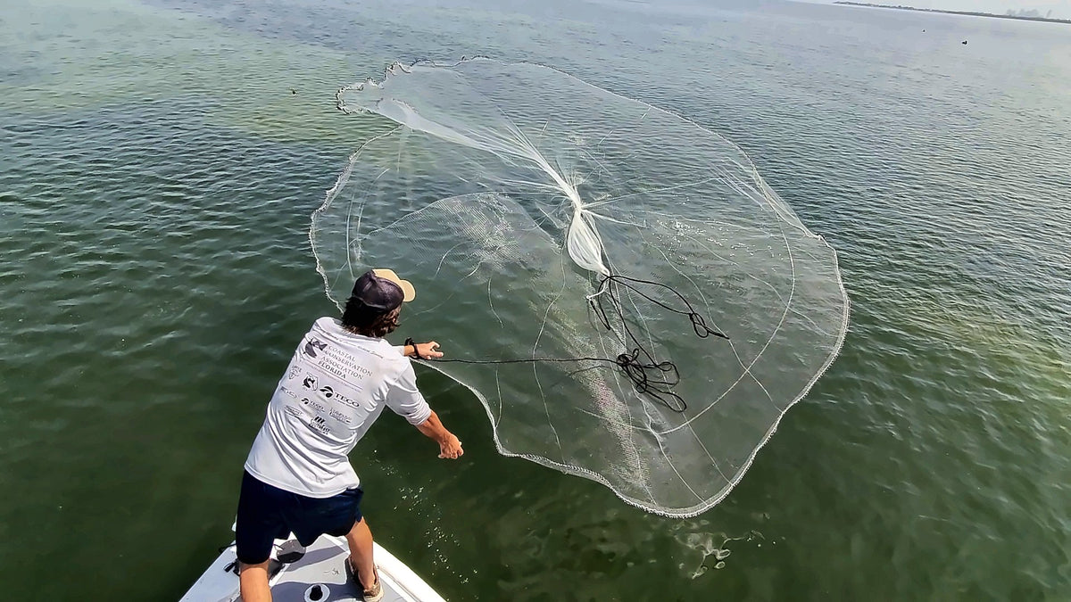 Dropout cast net fully open just before it hits the water