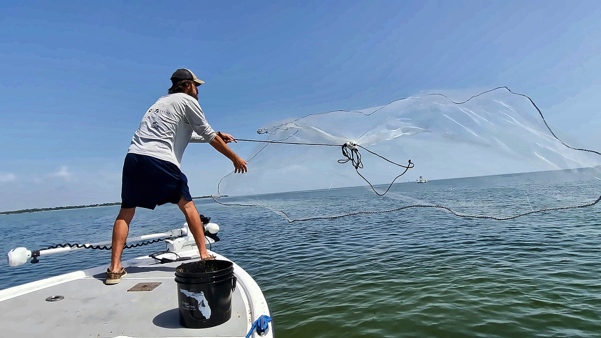 Dropout cast net opening in the air over Tampa Bay